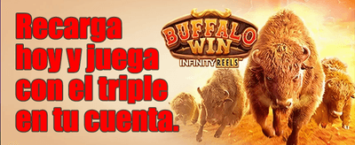 Recarga Diaria Energética promotion image